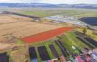 Teren extravilan Bod, 10.000 mp, acces DE 290, zona spre Harman - 11