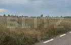 Teren intravilan/extravilan, 1500 mp, Cazaci - 2