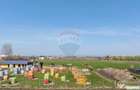 Teren intravilan 13.300 mp Bra?ov | 0% COMISION - 3