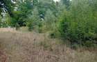 Teren de 3500 mp, în Valea Babei - 4