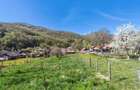 Casa si teren intravilan 3426mp la Poiana Galdei - 8