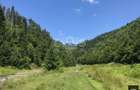 Teren si padure de vanzare in Bughea de sus Judetul Arges