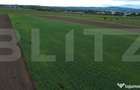 Teren agricol, 5.200 mp, Comuna Sendriceni - 5