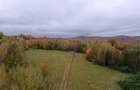 Teren ideal recreere/conectare cu natura/zona Fagaras/achitare in rate