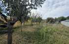 Casa, 70 mp, teren 1700 mp, zona Turcinesti - 9
