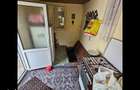 Casa 6 camere+anexa, teren 2000 mp, pozi?ie centrala Vi?ina Olt 31900 - 6