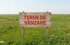4 /mpTeren agricol extravilan Puchenii Mari-PH, Irigatie, parcel - 1
