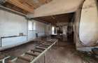 Spatiu industrial, 1480.73 mp, teren 7300 mp, zona Babasesti