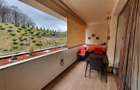 Apartament cu 2 camere decomandat în Drumul Poienii - 13