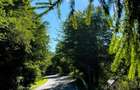 Vand Schimb cabana casa locuit Marisel - 4