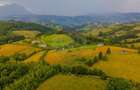 Teren intravilan de 11600 mp, în Poiana Mărului - 4