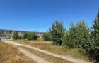 Teren industrial 14.740 mp, de vanzare, autorizatie constr., str Chimi - 5