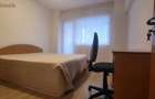 Apartament cu 3 camere decomandat în Lacul Tei - 1