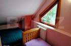 Cabana la marginea padurii Arieseni, Dealul Bajului - 5