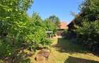 Casă individuală cu 3 camere cu Teren 5133 Mp în Lutoasa - 9