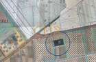 COMISION 0% - Teren extravilan 11.502mp - zona Aeroport - Timisoara - 1