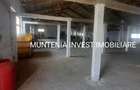 Proprietate de vanzare tip ferma, teren 28150 mp. Balilesti, Arges - 6