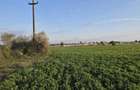 Teren intravilan de vanzare Sanmartin - 5.683 mp - 3