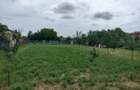 Vand teren intravilan gradina de vanzare - 5