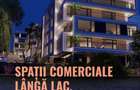 Spatiu comercial la strada principala Rediu, la lac - 3