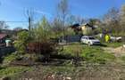Provita de Sus (Plaiu) casa + teren 700 mp de vanzare - 2