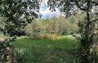 Breaza - Proprietate spectaculoasă pe 3.531 mp de teren | 2 corpuri | 374 mp uti