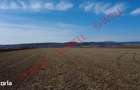 Teren extravilan de vanzare intre Chilieni ?i Co?eni, pe DN12! - 3