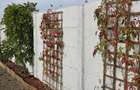 Casă individuală cu 4 camere cu Teren 300 Mp în Crevedia - 10