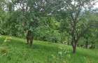 Teren de 3150 mp, în Poiana - 7