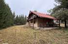 Casa de vacanta - Lacul Lesu - Coada lacului - IMOBIHOR - 5
