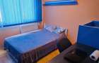 Apartament cu 3 camere decomandat în Drumul Taberei - 7