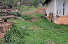 Casă cu 2 camere în Bârsana - 4