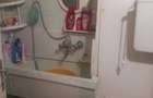 Apartament o camera zona Lipovei - 1