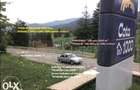 Sinaia | Teren intravilan 5.000 mp | DN71 | Cota 1000 - 5