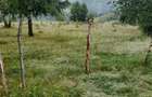 Teren Pestera 9 euro mp - 6
