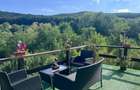 Casă cu 3 camere cu Teren 1392 Mp în Vulcan - 17