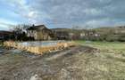 Casă individuală cu 4 camere cu Teren 700 Mp în Corpadea - 5