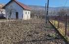 Casa detasata, 4 camere, o anexa , 2 garaje ,si subsol - 7