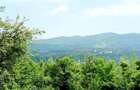 Ansamblu reziden?ial 5 case de vacan?a in Plaiu Campinei, Prahova - 8