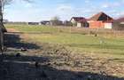 Vand teren intravilan Botiz 20 de ari - 5