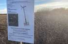 Teren agricol de 10000 mp, în Ghiroda - 4