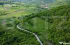 Teren superb, in mijlocul naturii, 18.360 mp, la Carji?i - 6