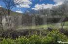 Teren 7.000 mp, lini?te totala, acces asfalt, priveli?te - 1