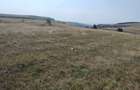 Teren 5000 mp la Tureni Cluj - 5