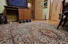 Apartament 3 camere central Aleea Florilor Prefectura Piata Progresul - 5