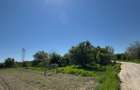 Teren intravilan 535 mp, Dumitrana Magurele, direct proprietar - 9