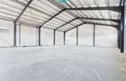 Hală industrială în zona Giarmata – Timiș - 3