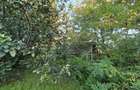 Casă cu 3 camere în Macedonia - 5