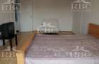 Apartament 1 camera decomandat in zona Parcului Armatura - 4