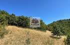 Teren intravilan 2.580 mp E?elni?a, acces DN57, ideal turism, locuinte - 3